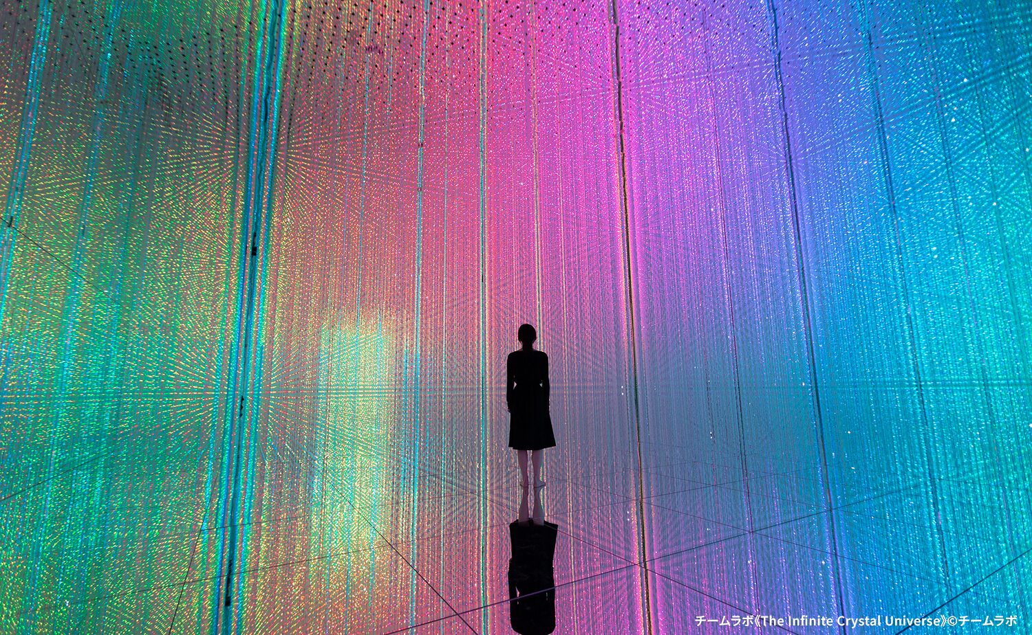 チームラボプラネッツ TOKYO DMM