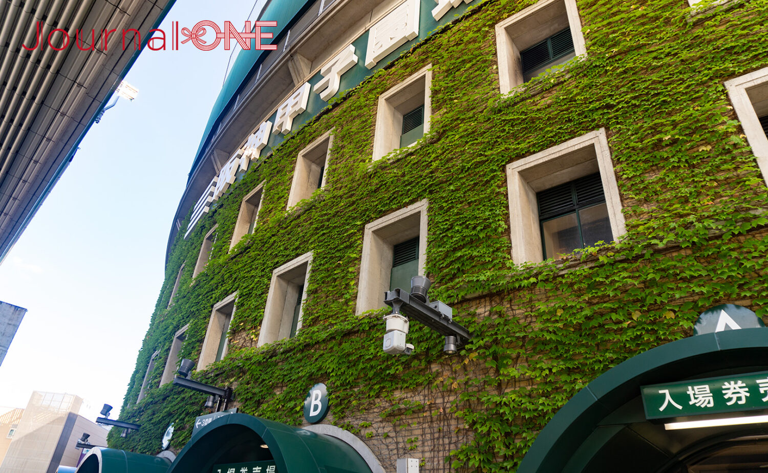 センバツの舞台となる阪神甲子園球場