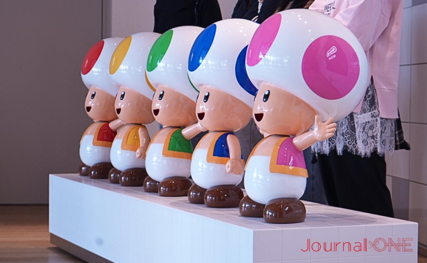 キノピオを探して触ってみよう-Journal-ONE撮影