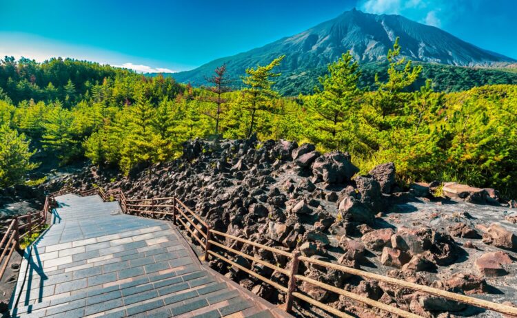 桜島の噴火口と錦江湾を一望する、有村溶岩展望所の荒々しくも美しい溶岩原の風景