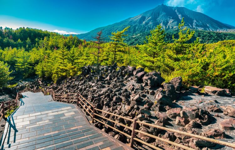 桜島の噴火口と錦江湾を一望する、有村溶岩展望所の荒々しくも美しい溶岩原の風景