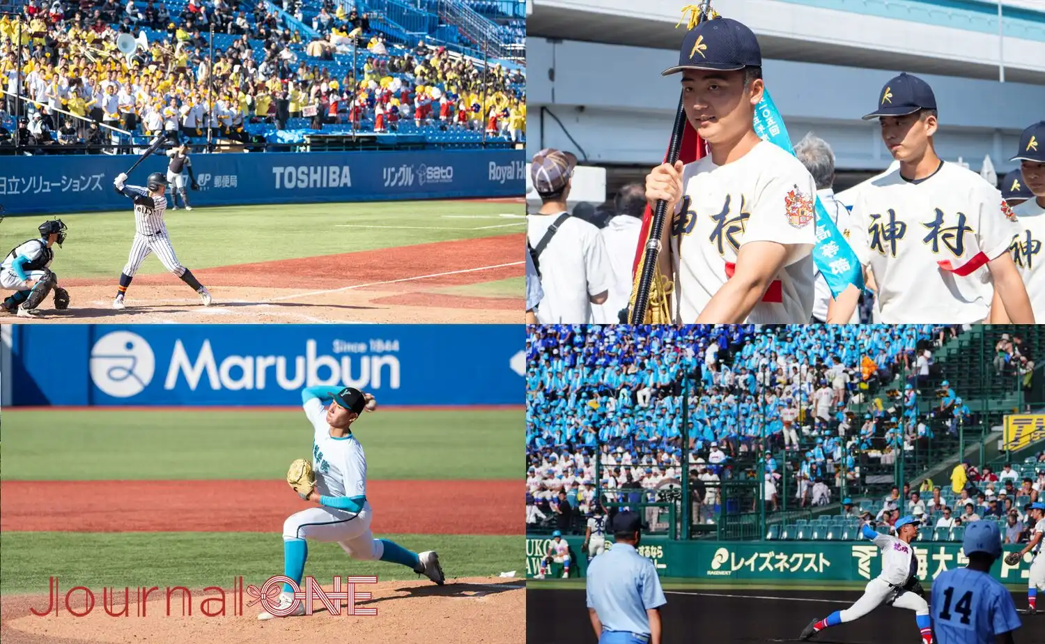センバツ高校野球2026｜組み合わせ確定と甲子園の歩き方