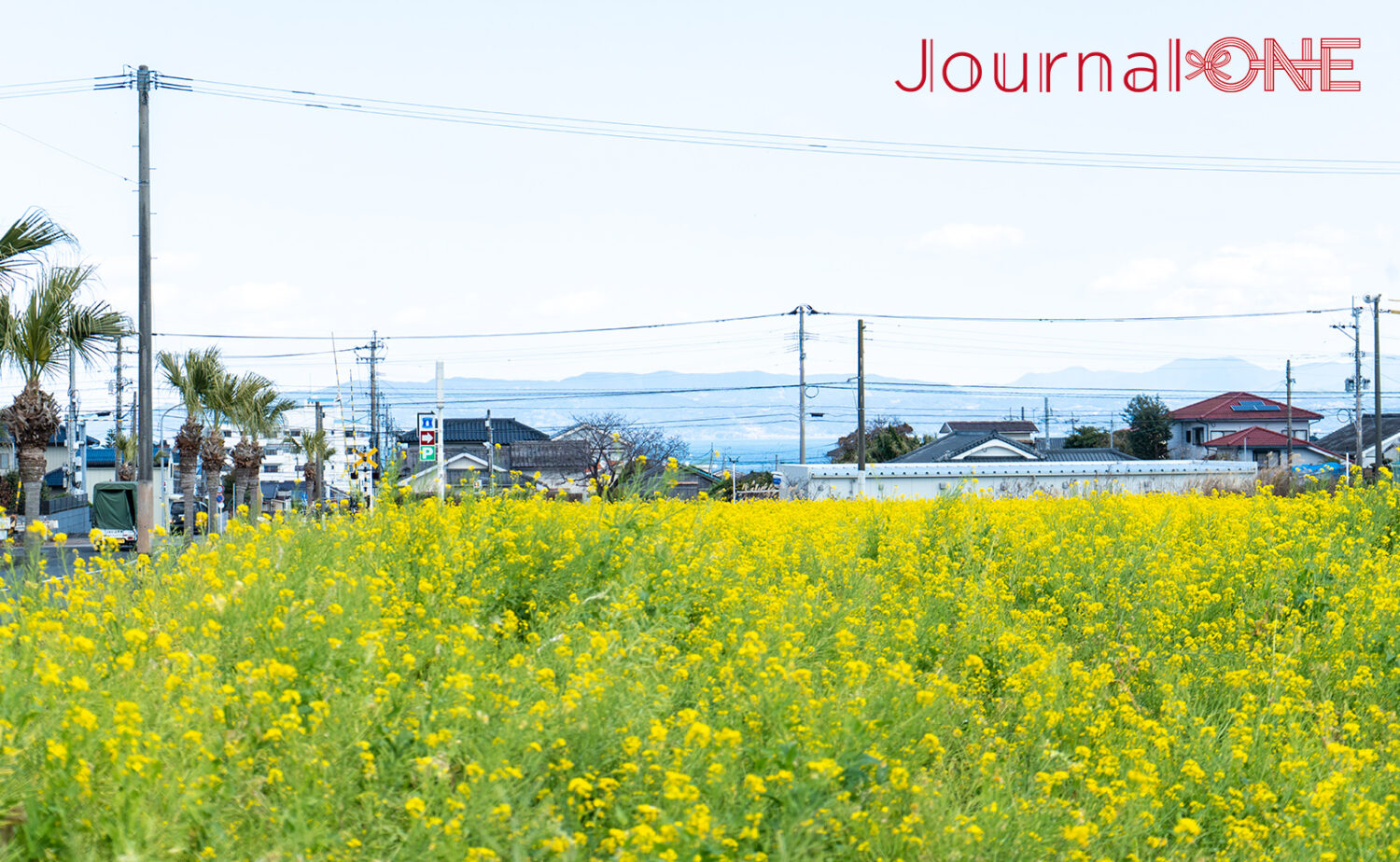 JR指宿駅(いぶすきえき)