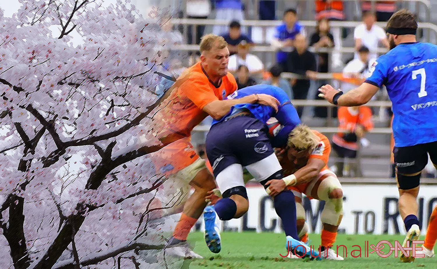 リーグワン 2026 終盤戦を彩る、桜が舞うスタジアムと首位を争う埼玉WK・クボタの激闘