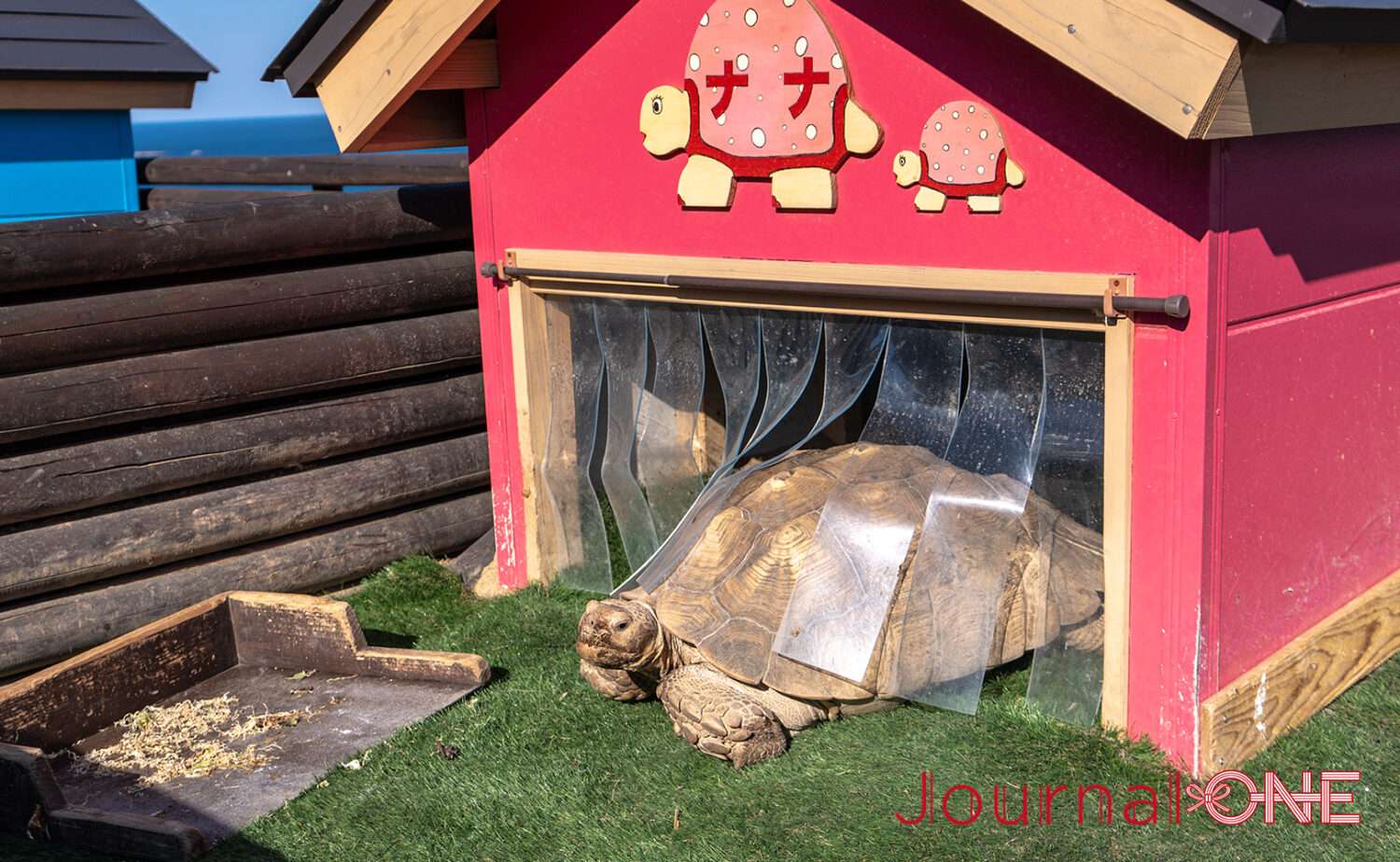 サンメッセ日南