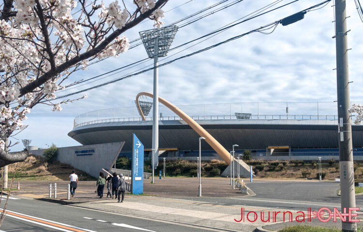 満開の桜越しに見る大阪シティ信用金庫スタジアム。春の青空の下、桜の枝がフレームのように広がり、スタジアムへ向かう人々の姿が写っている。