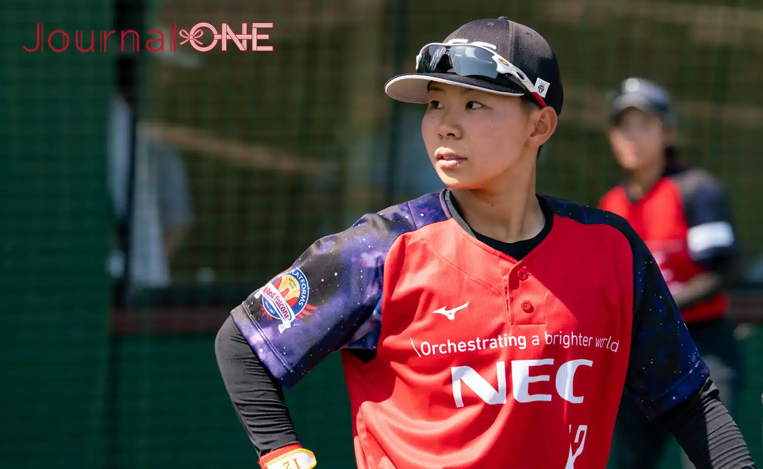 試合結果】JDリーグ ビックカメラ上野由岐子が通算250勝の快挙！打線も