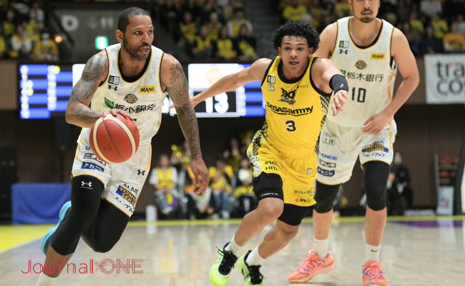 ニュービルをマークするハーパージュニア-Journal-ONE撮影