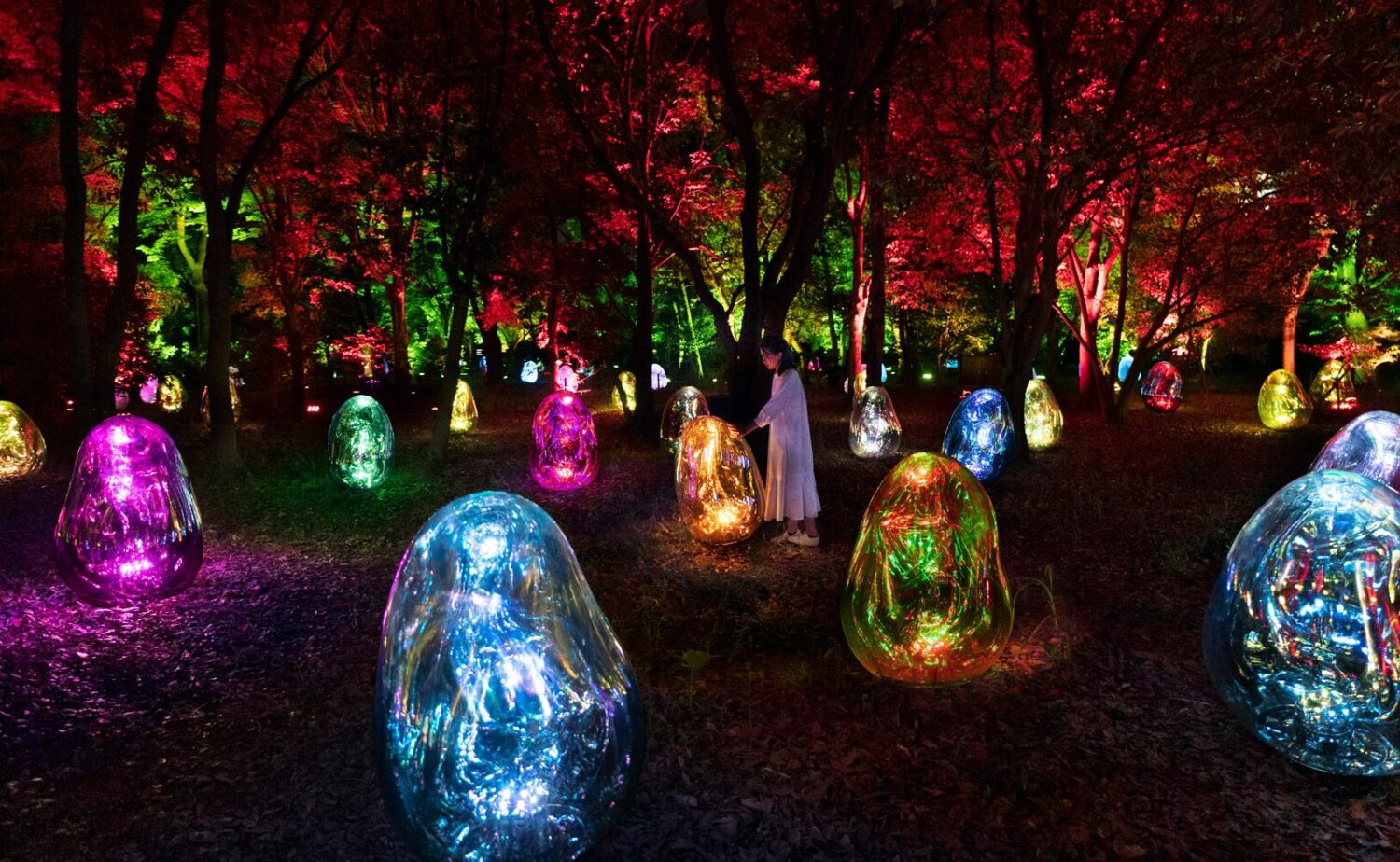 夜の森の静寂の中、地面に点在する無数の卵形体「ovoid(オボイド)」が、マゼンタ、シアン、ゴールドといったデジタルならではの純粋な色彩で、内側から脈動するように発光している様子。赤刎氏が語る「光だからこそ発色できる色」が、周囲の木々の葉を赤や緑に染め上げ、幻想的な「非日常」の空間を創り出している。画面中央では、白い服を着た人物がその光の一光体に優しく触れようとしており、謙虚な技術としてのデジタルが、生命のエネルギーを可視化し、人と自然を繋いでいる瞬間を捉えたビジュアル。