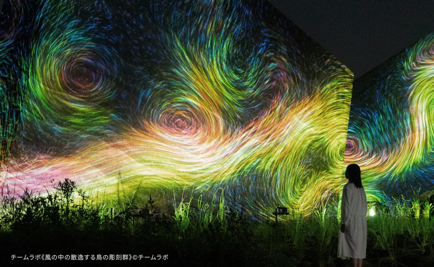 夜の闇を背景に、巨大な岩のような構造物へ投影されたチームラボのデジタルアート作品。画面全体を埋め尽くすように、黄色、緑、青の光の粒子が激しい渦潮（うずしお）のようなエネルギーの流れを描き出している。中村氏が語る「環境、流れ、地形が揃って初めて立ち上がる構造」を象徴するように、光の跡が有機的に重なり合い、物理的な境界を超えて空間全体に生命の躍動感を伝えている。手前には作品を静かに見つめる人物のシルエットが配され、デジタルが描く「目に見えないエネルギーの流れ」と現実世界が融合した、一期一会の深淵な光景を捉えたビジュアル。