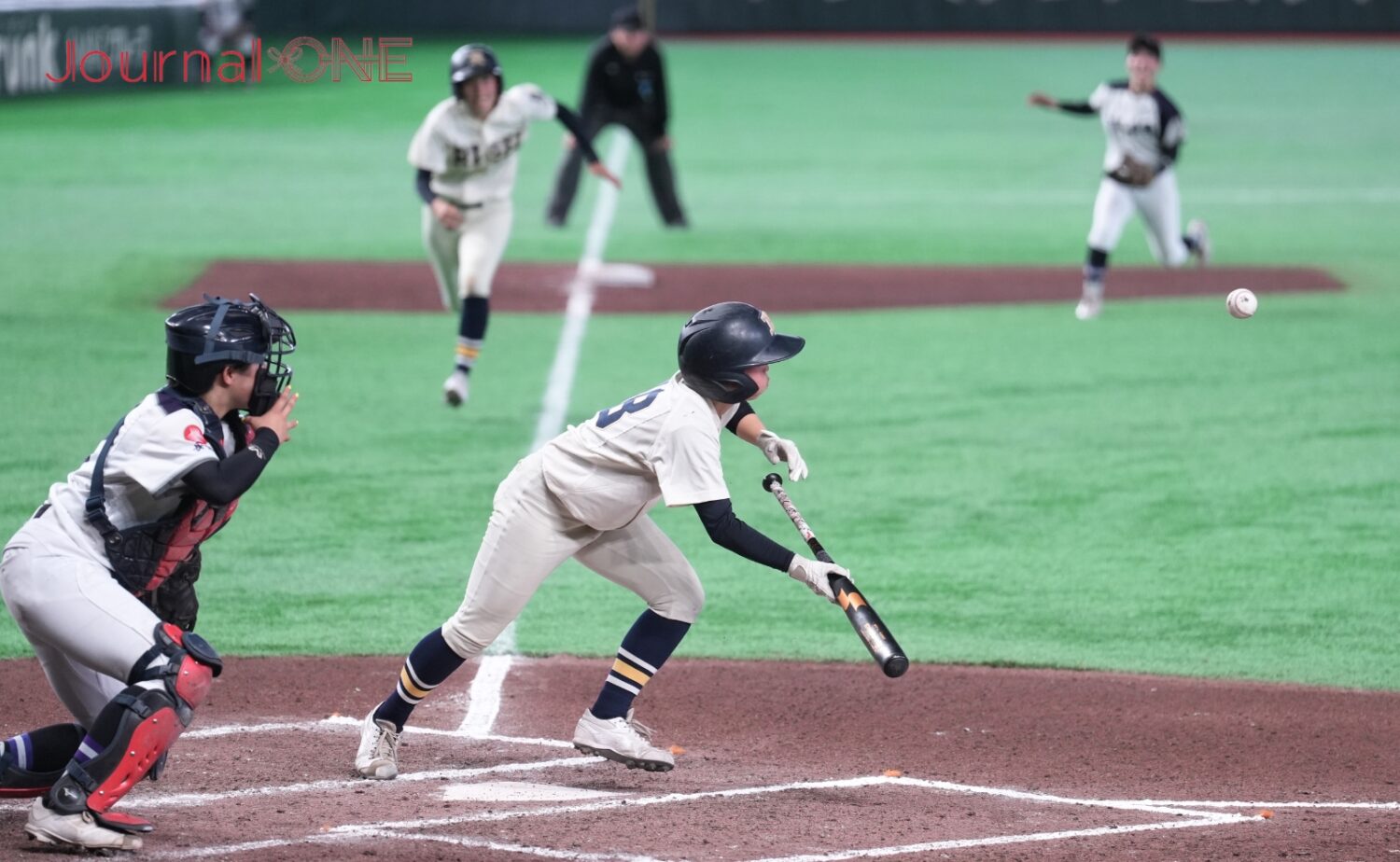 高校女子硬式野球 決勝で逆転のスクイズを決める後藤選手(履正社)-Journal-ONE撮影