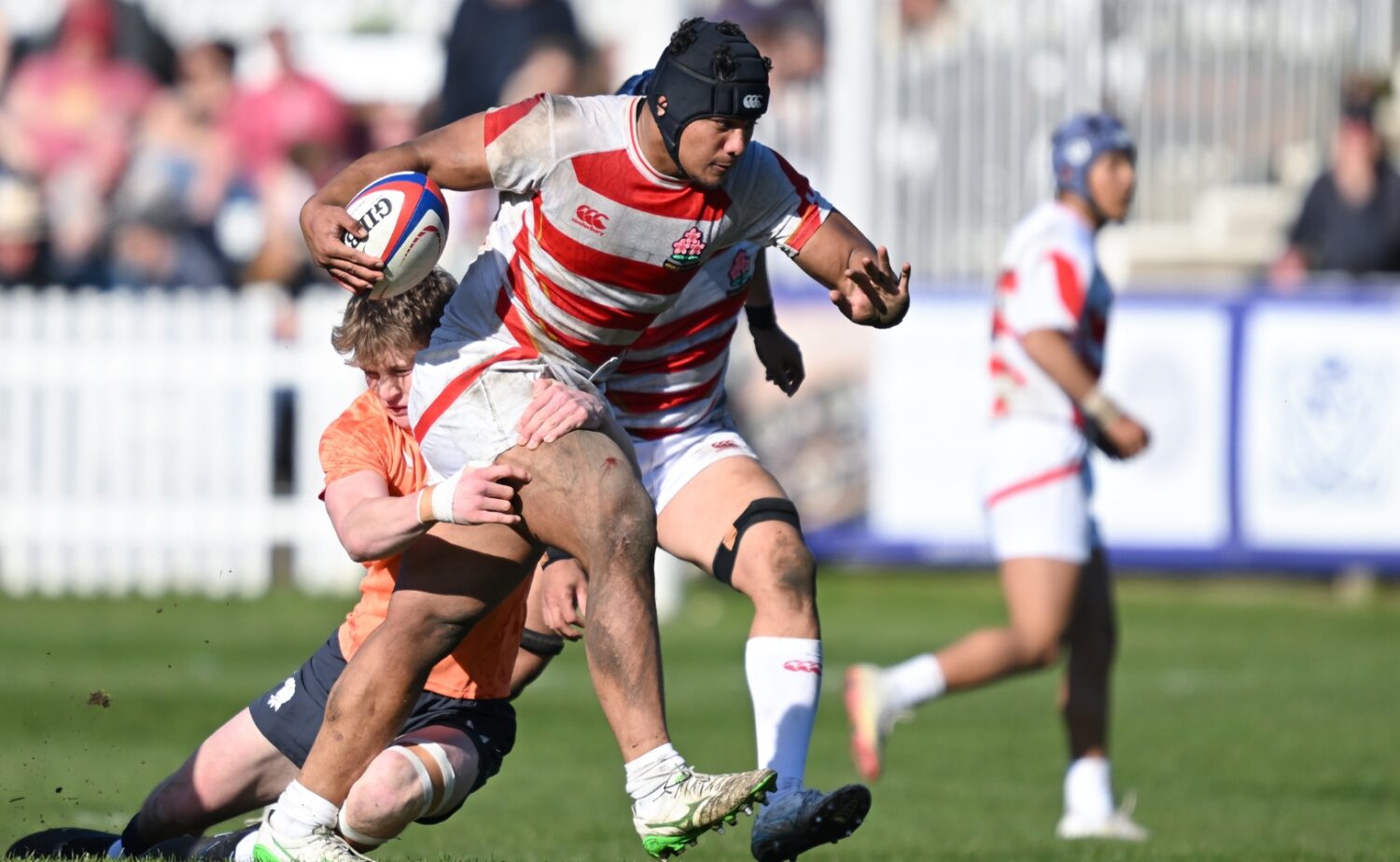 イングランド戦で突破を図るロケティ（C）JRFU