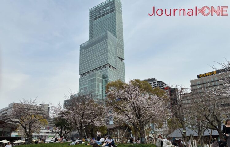 天王寺公園「てんしば」の芝生広場越しにそびえ立つ、日本一の高層ビル「あべのハルカス」。春の昼下がり、芝生の上でレジャーシートを広げてくつろぐ来園者たちの様子。