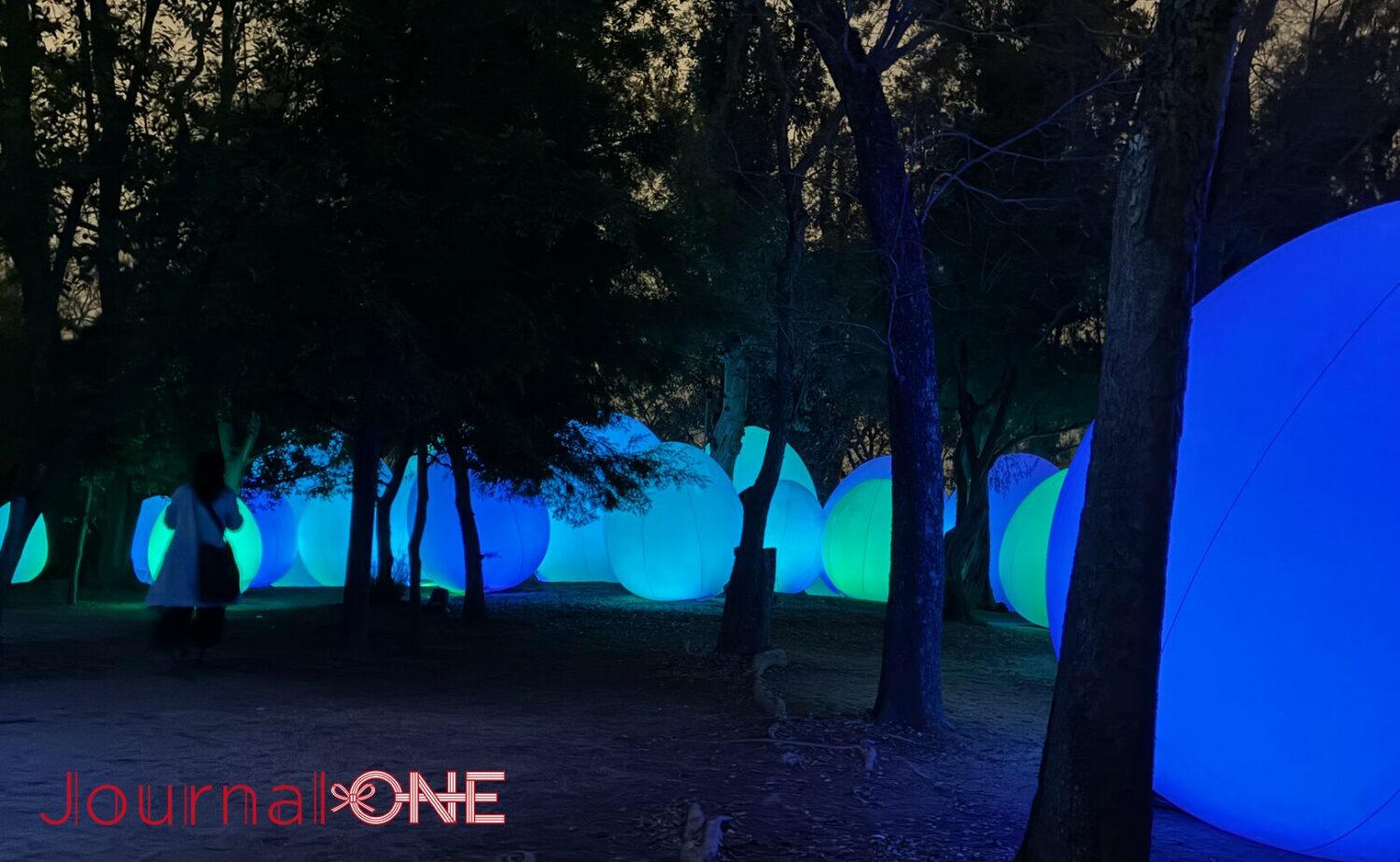 チームラボ ボタニカルガーデン 大阪（長居植物園）