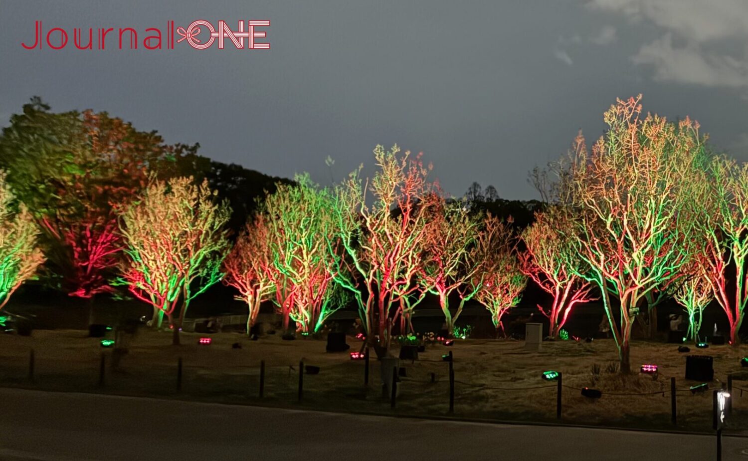チームラボ ボタニカルガーデン 大阪（長居植物園）