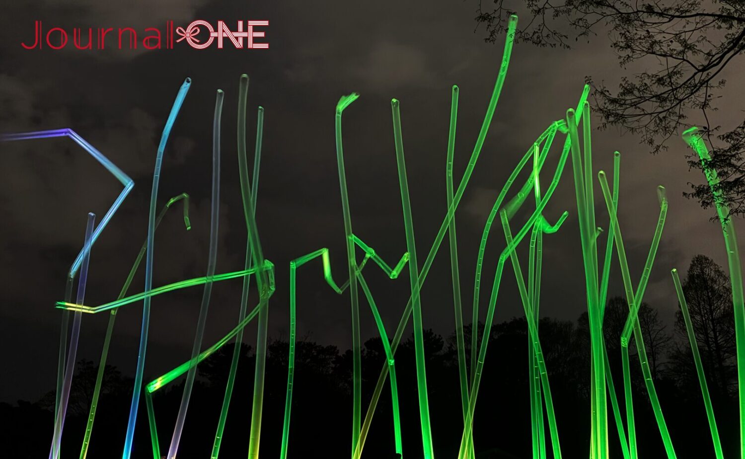 チームラボ ボタニカルガーデン 大阪（長居植物園）